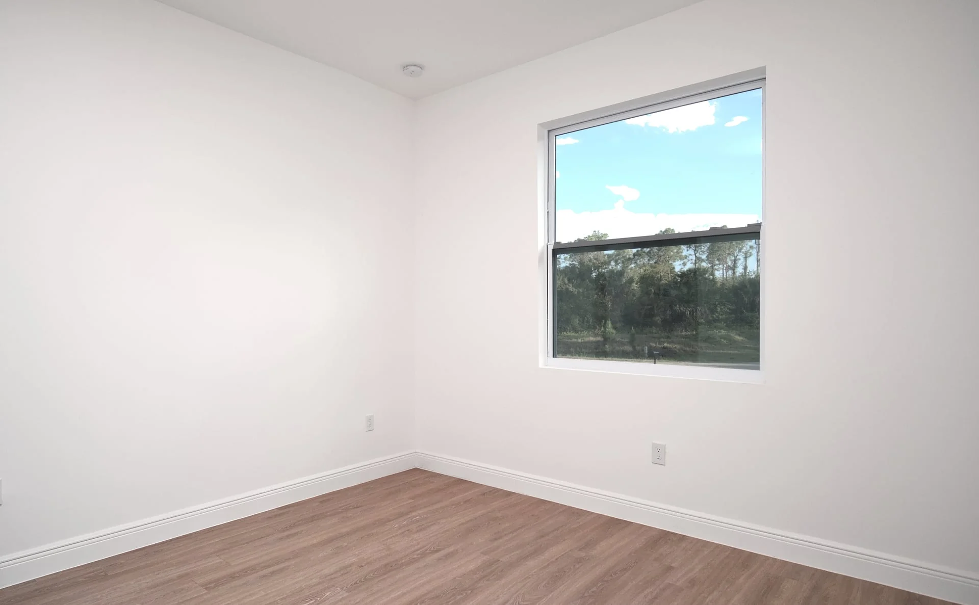 LOUISIANA inside - 16